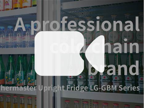 Image of Thermaster Single Door Supermarket Fridge LG-600GBM